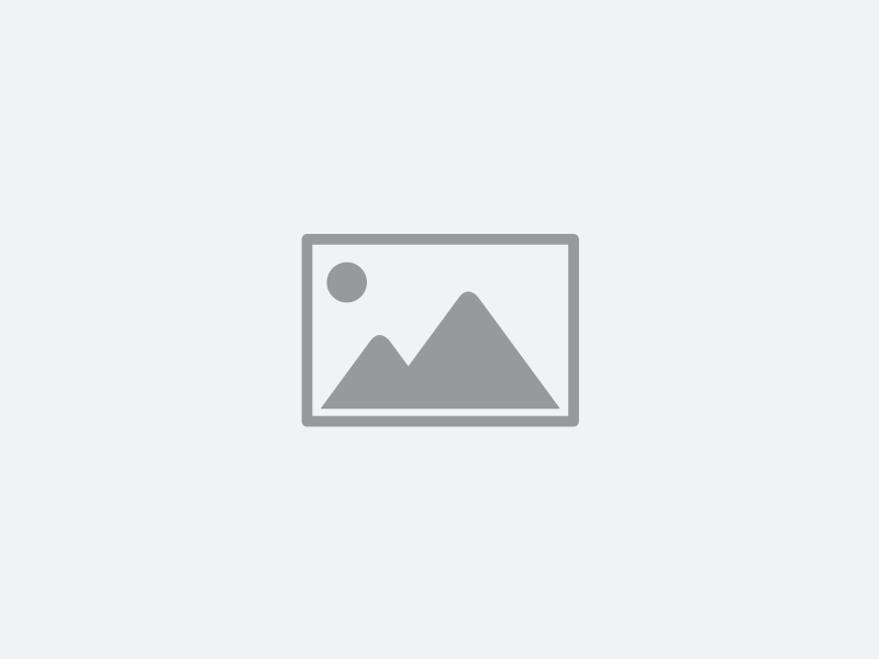 iGo Outland Sawback RS Review, 2023